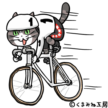 競輪猫01