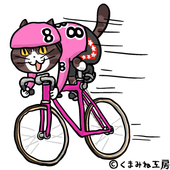 競輪猫08